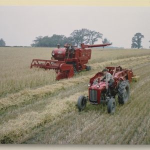 Massey Ferguson MF35 Tractor with Baler and Combine