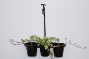 Metal Wall Triple Plant Holder With Ornate Tap