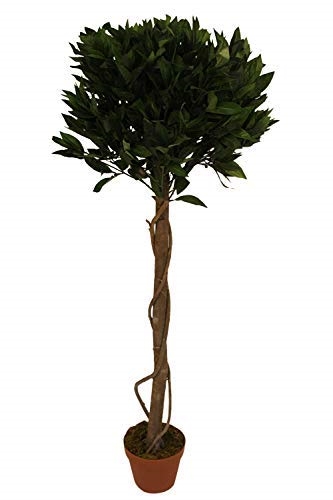 1.6M Tall Artificial Bay Tree With Pot