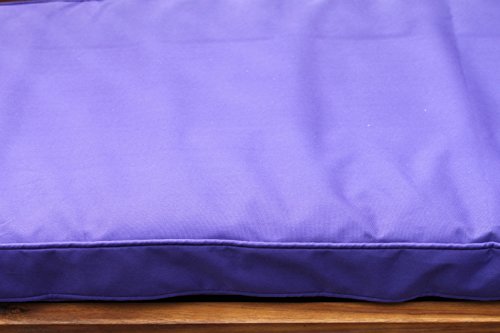 3SeaterPurple
