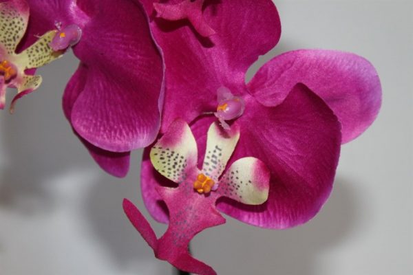 Artificial Cerise Orchid in a Pot- FL12711