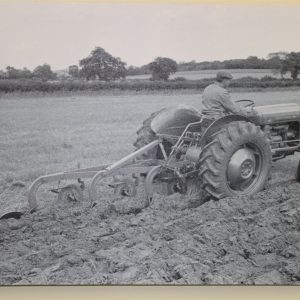 Massey Ferguson  Tractor Ploughing