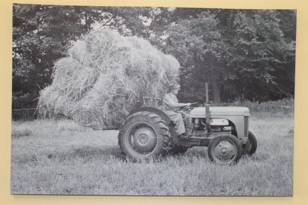 Ferguson TE20 Tractor With Back Board of Straw