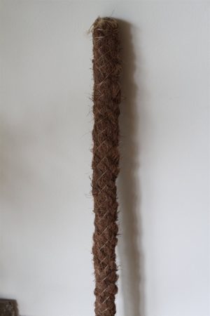 Moss Pole for Supporting House Plants-76cms Tall