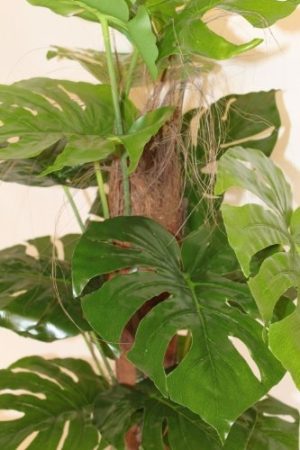 1.2M Tall Artificial Cheese Plant With Pot