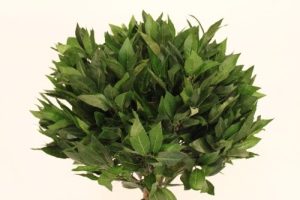 1.6M Tall Artificial Bay Tree With Pot