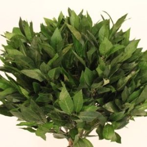 1.6M Tall Artificial Bay Tree With Pot