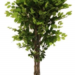 1.6M Tall Artificial Ficus Benjamina With Pot