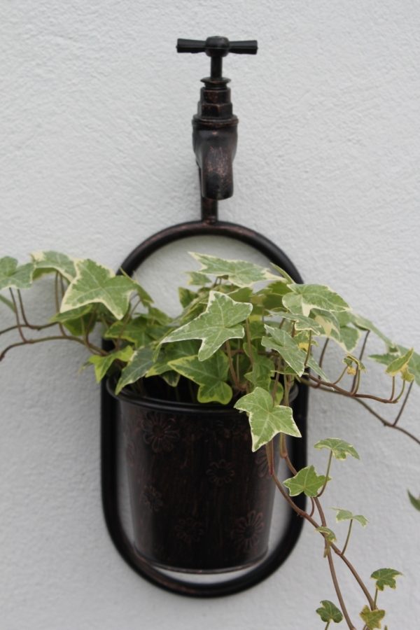 Metal Wall Single Plant Holder With Ornate Tap