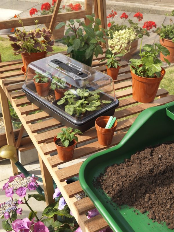 Stewart Plastic Garden 38cm Essentials Electric Propagator