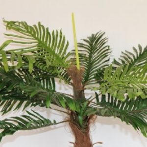 Artificial Coco Palm Tree 1m Tall With Pot