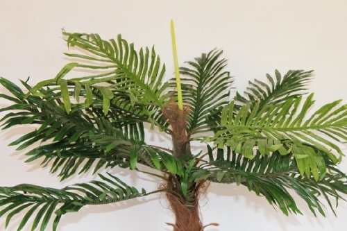 Artificial Coco Palm Tree 1m Tall With Pot