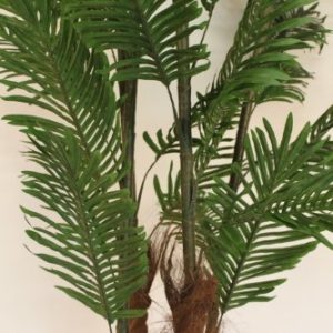 1.6M Tall Artificial Kentia Palm With Pot