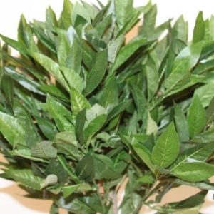  0.9M (3') Tall Artificial Bay Tree