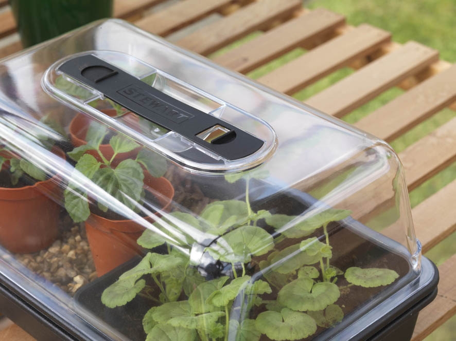 Stewart Plastic Garden 38cm Essentials Electric Propagator 3 Stewart Plastic Garden 38cm Essentials Electric Propagator