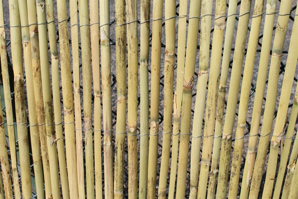 Bamboo Fencing Rolls 1.2M Tall and 3.8M Long Garden Market Place