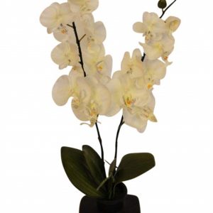 Large Artificial Cream Orchid in a Pot- FL12706
