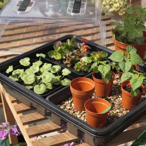 Stewart Plastic Garden 52cm Thermostatic Control Electric Propagators