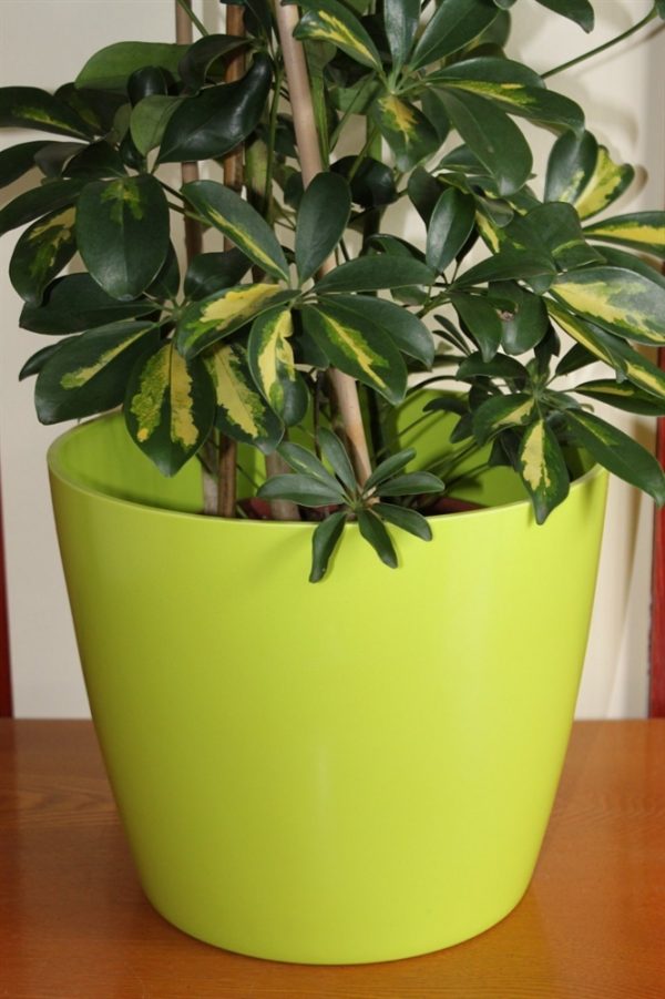Quality Large Lime Green Plastic Plant Pot Cover - Diameter 28.5cms