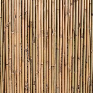 Heavy Duty Bamboo Screening Rolls 1.8M Tall and 2M Long