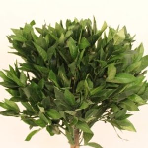 SET OF 2 - 1.2M Tall Artificial Bay Trees With Pots