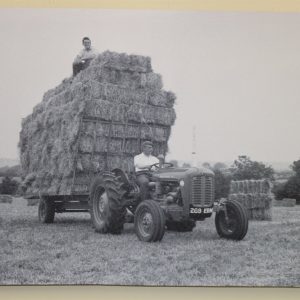 Massey Ferguson MF35 Tractor with a Trailer of Straw