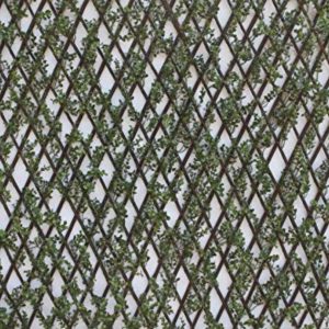 Expanding Willow Garden Trellis with Buxus Leaves, 2m x 1m Extendable Privacy Screen Panel, Decorative Greenery Fence Cover, Fasten to Fences or Wires